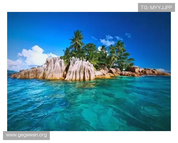 探索海岛娱乐场的多样化娱乐选择，让您的假期充满刺激与放松的极致享受