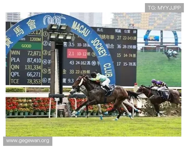 澳门赛马咨询平台实时更新赛事信息，助您把握每一个投注良机，赢得更多胜利